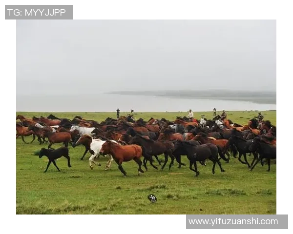 山丹马场足球的崛起与发展探索助力地方体育文化的繁荣与传承